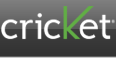 header-cricketlogo