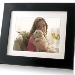 PAN8008DW_