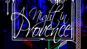 a-night-in-provence