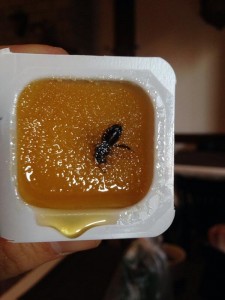 Really fresh honey...really fresh