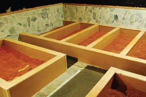 Yellow_earth_room