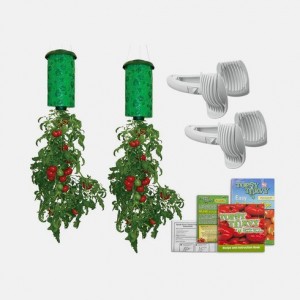 https---s3.amazonaws.com-tanga-images-2ybmrzghb4b8