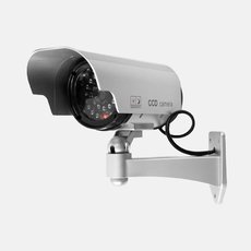 https---s3.amazonaws.com-tanga-images-wbx88yzbegzx