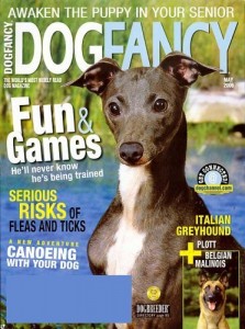 Dog-Fancy-2