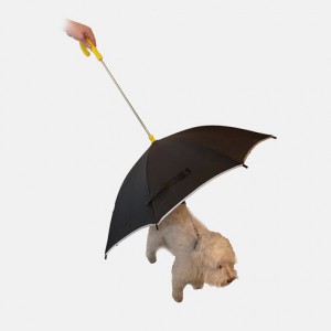 https---s3.amazonaws.com-tanga-images-4dhhmd27nft8