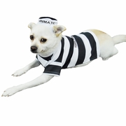 otis-and-claude-fetching-fashion-prison-pooch-costumes-10