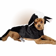 otis-and-claude-fetching-fashion-skunk-costumes-10