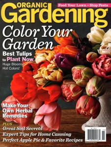 5779-1415203918-organic-gardening