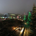 IMG_0005