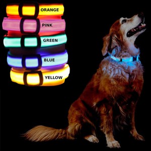 dogcollarsmaster-300x300
