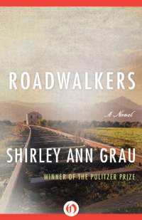 roadwalkers-by-shirley-ann-grau-2015-02-12
