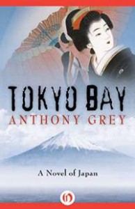 tokyo-bay-by-anthony-grey-2015-02-13