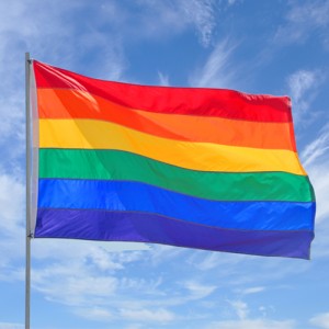 Prideflag_1-300x300