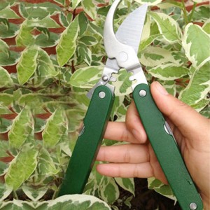 prunermaster1-300x300