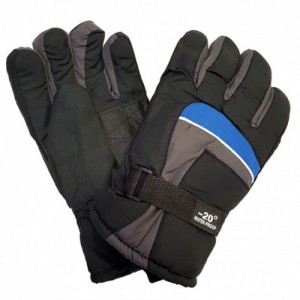 6020a-ski-main-650x650