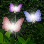 butterfly_solar_main_1