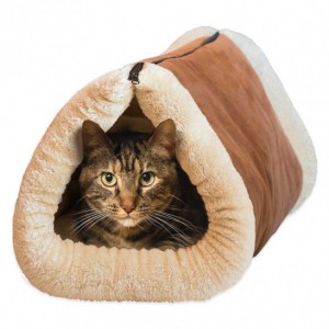 ol832-cat-tunnel
