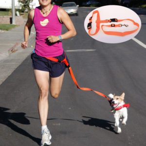 ol804-dog-belt-asst_1