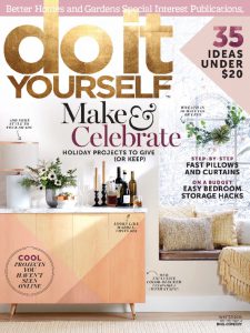 51735-do-it-yourself-cover-2016-october-1-issue