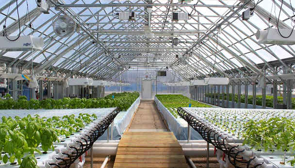 1484446434-Metropolitan_Farms_Greenhouse_Tour_tickets