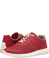 3854981-p-LARGE_SEARCH