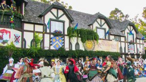 1416329971-venue-renaissancefaire